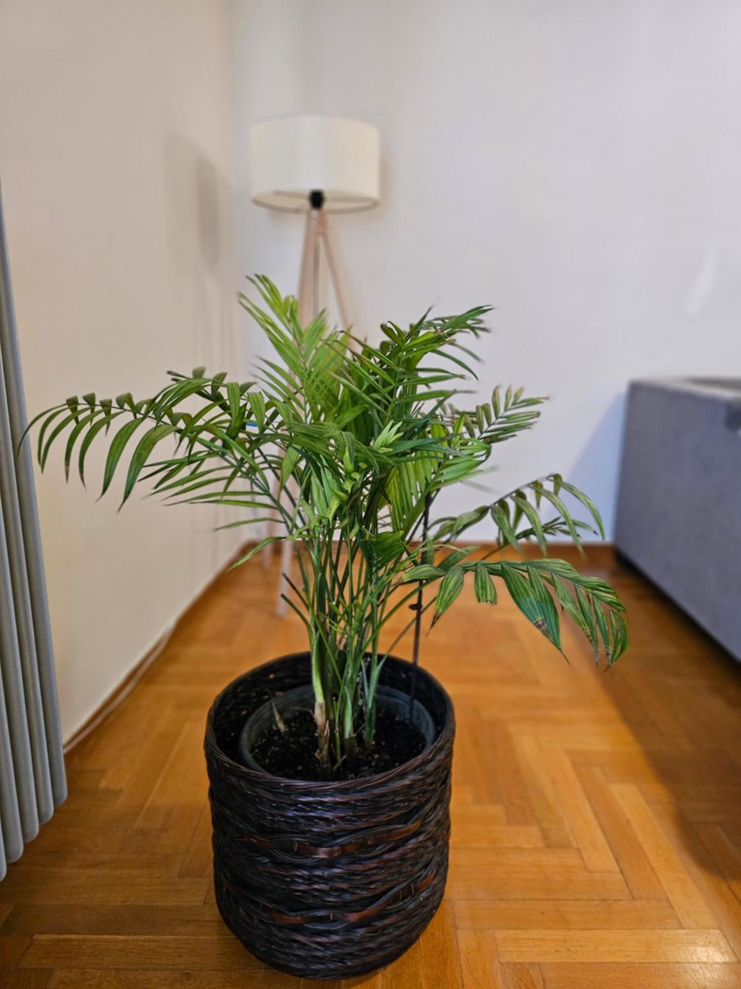 Cosy Apartment In The Heart Of The City カラマタ エクステリア 写真